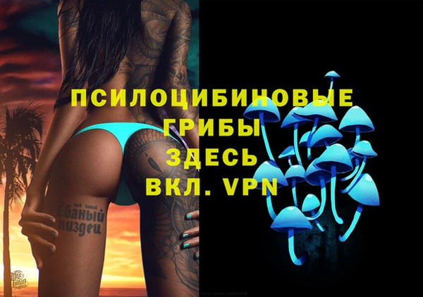 марки nbome Бородино